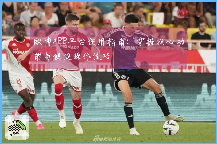 欧博APP平台使用指南：掌握核心功能与便捷操作技巧